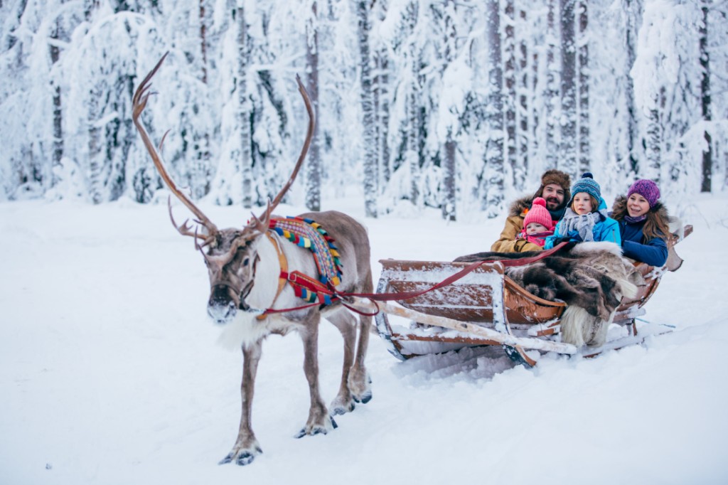 Reindeer sleigh in snowy Finnish forest