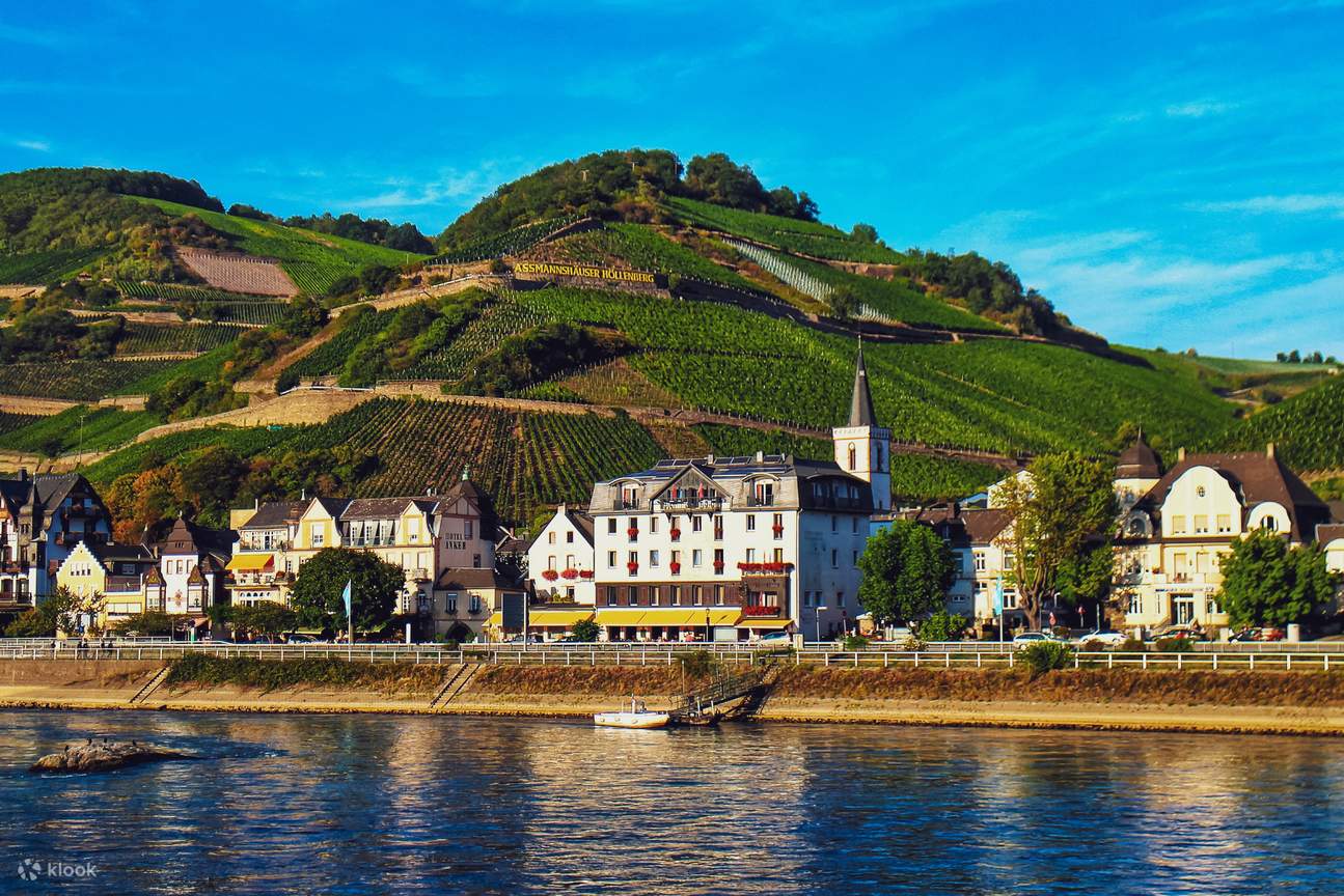 Castles and vineyards along the Rhine valley